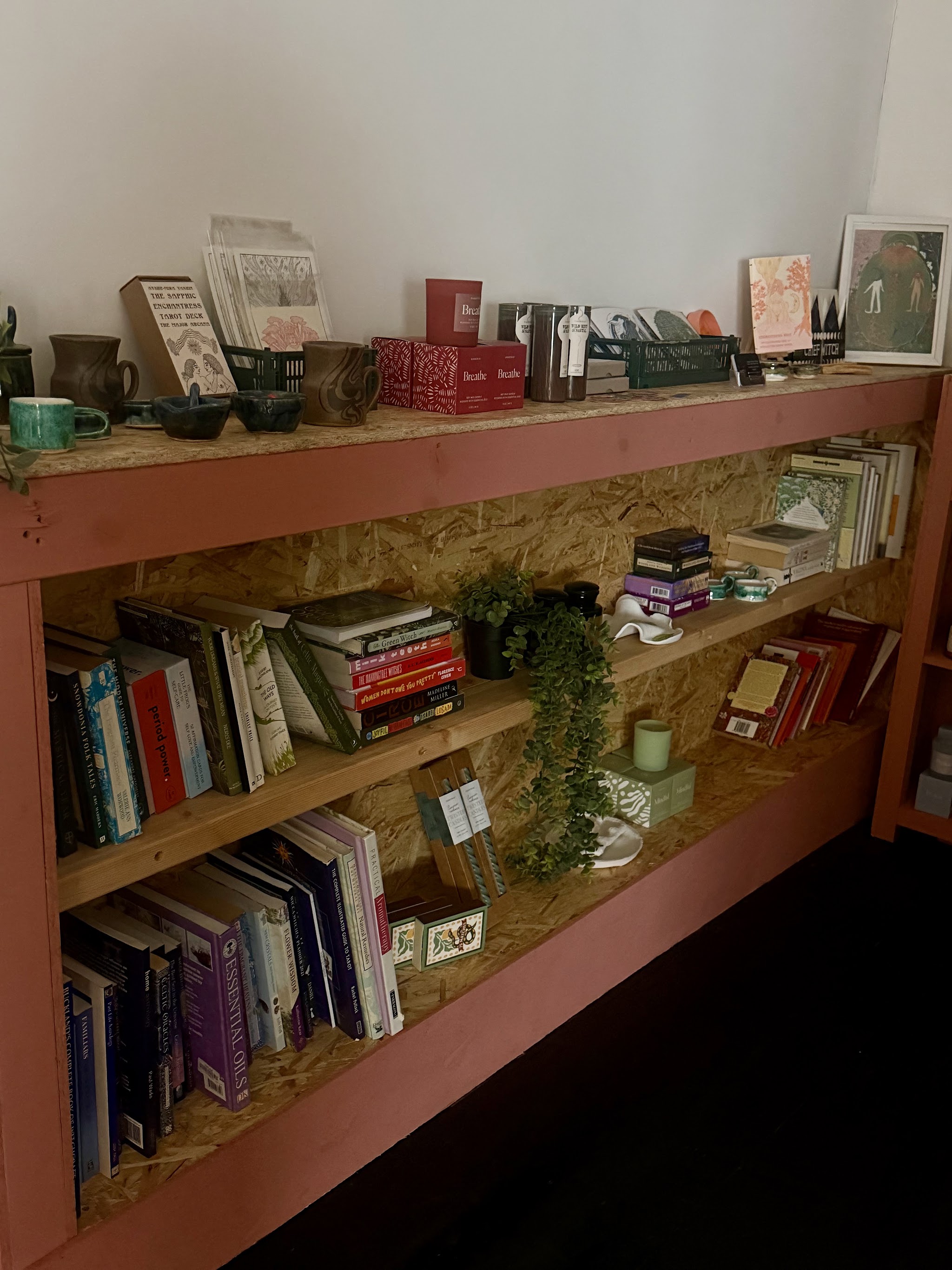 Pink-painted shelves of books in the treatment room